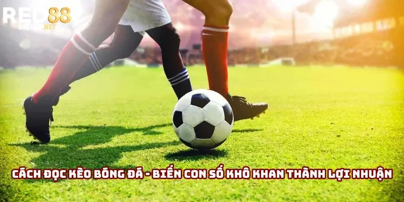Cách Đọc Kèo Nhà Cái - Con Số Khô Khan Thành Lợi Nhuận